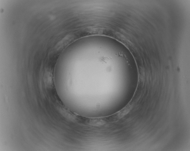 X0000074321154200609082000