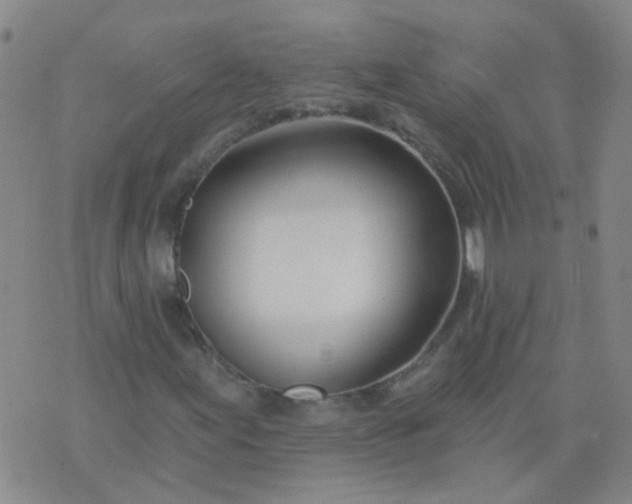 X0000074321155200609082000