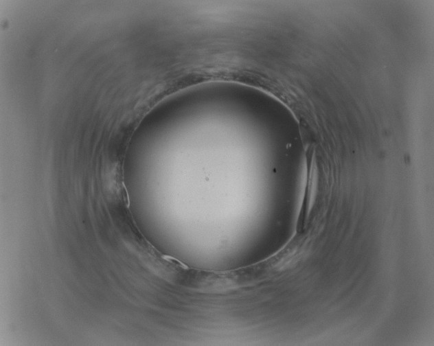 X0000074321156200609082000