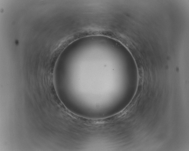 X0000074321157200609082000