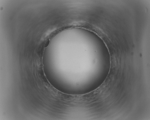 X0000074321158200609082000