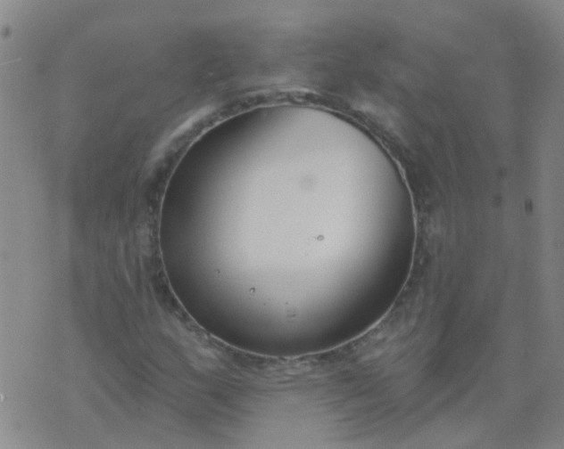 X0000074321159200609082000