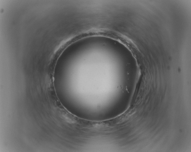 X0000074321160200609082000