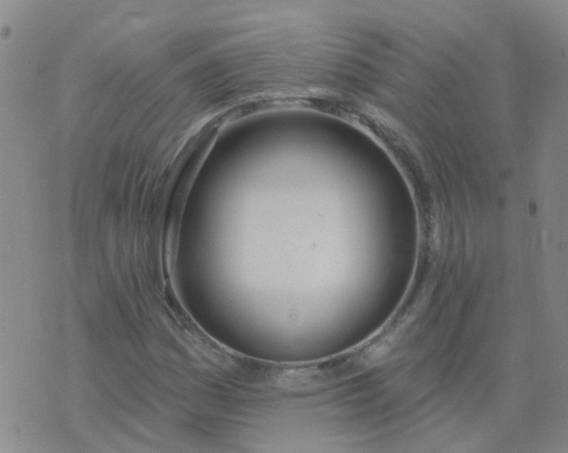 X0000074321161200609082000