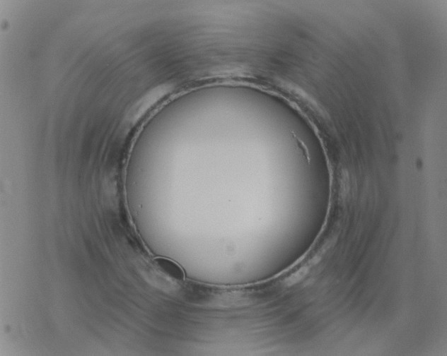 X0000074321162200609082000