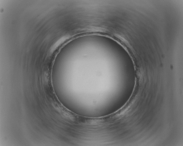 X0000074321163200609082000