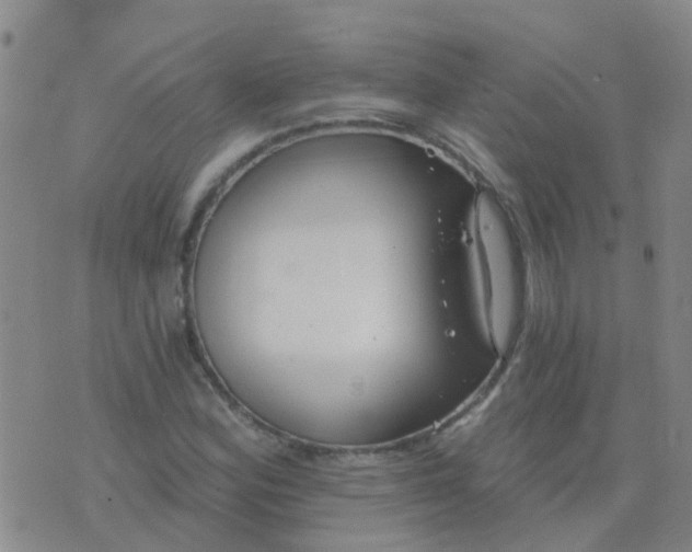 X0000074321164200609082000