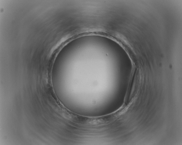 X0000074321165200609082000