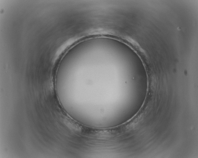 X0000074321167200609082000