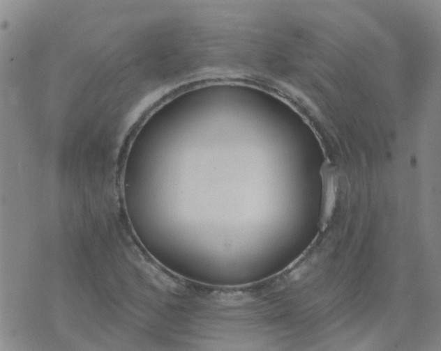 X0000074321168200609082000