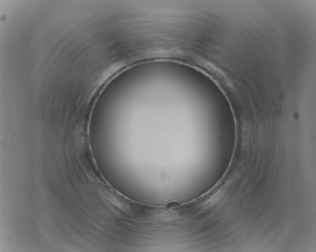 X0000074321170200609082000