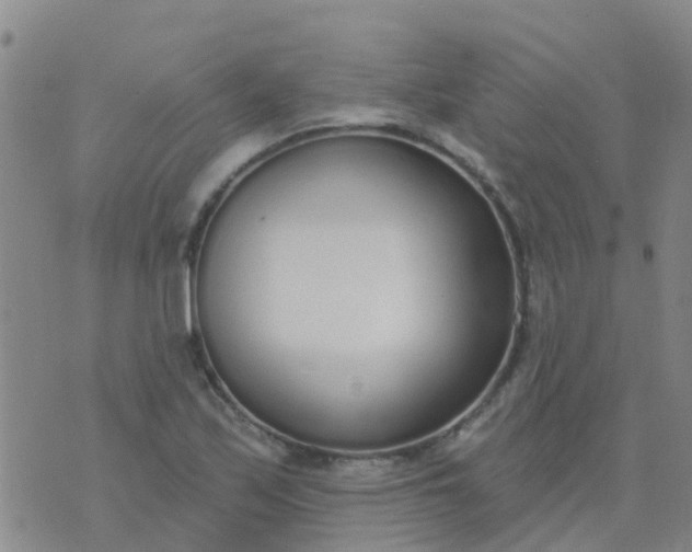 X0000074321171200609081959