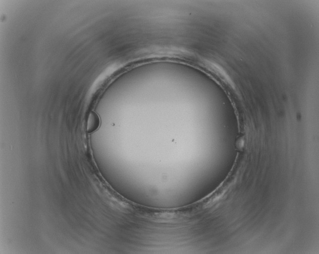 X0000074321172200609081959