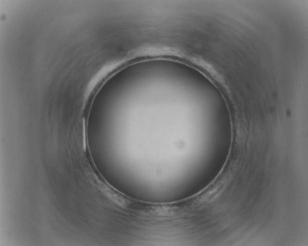 X0000074321175200609081959