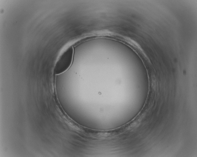 X0000074321176200609081959