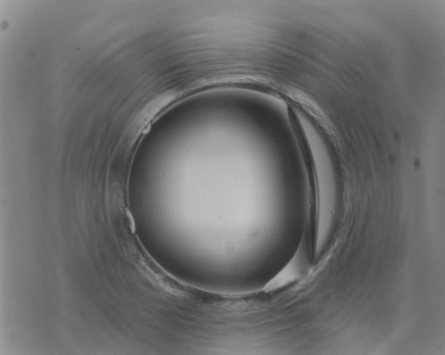 X0000074321177200609081959