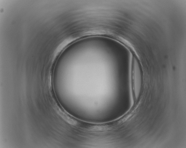 X0000074321179200609081959