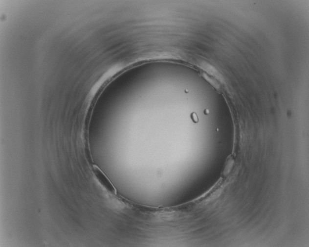 X0000074321181200609081959