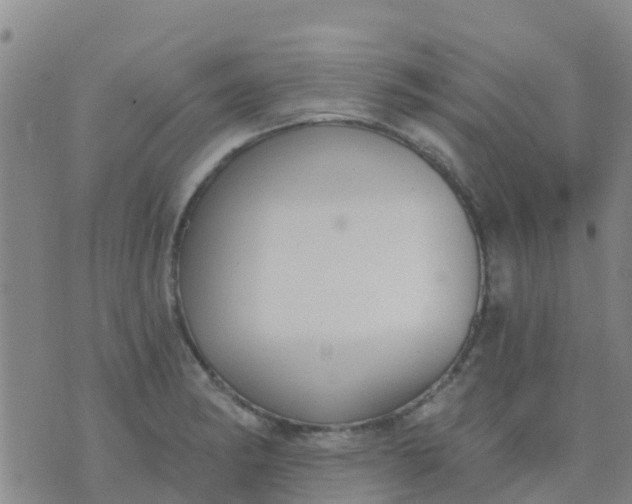 X0000074321182200609081959