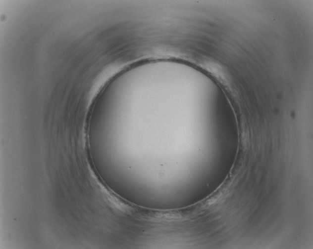 X0000074321183200609081959