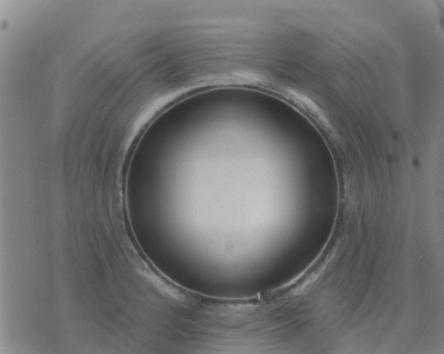 X0000074321184200609081959