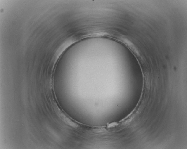 X0000074321186200609081959