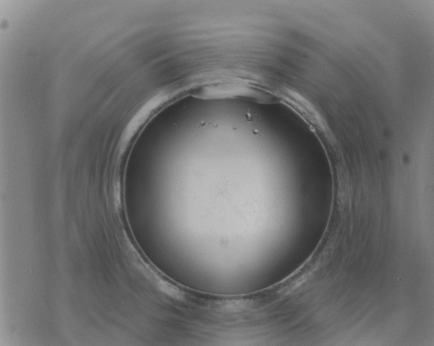 X0000074321188200609081959