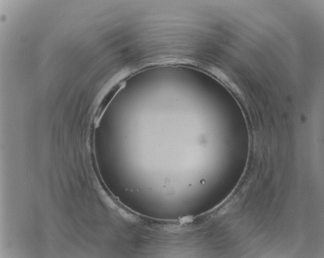 X0000074321189200609081959