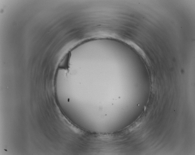 X0000074321191200609081959