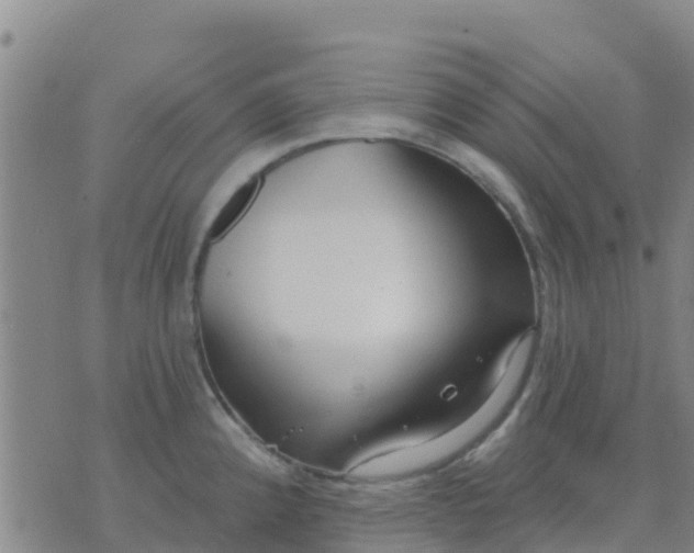 X0000074321192200609081959