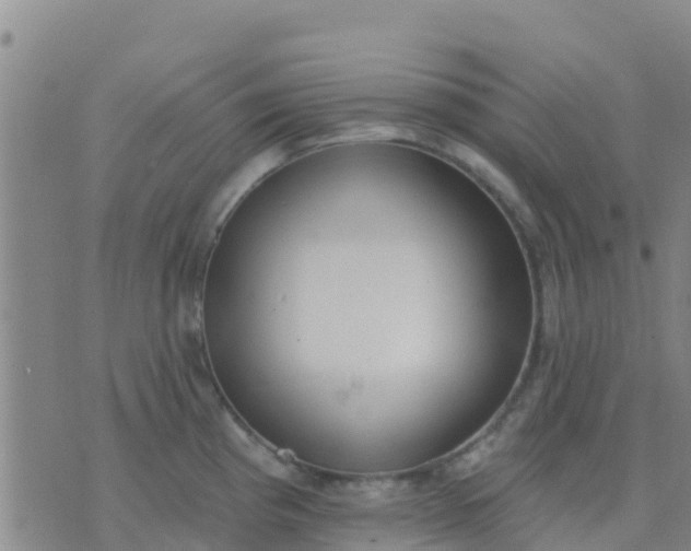 X0000074321193200609081959