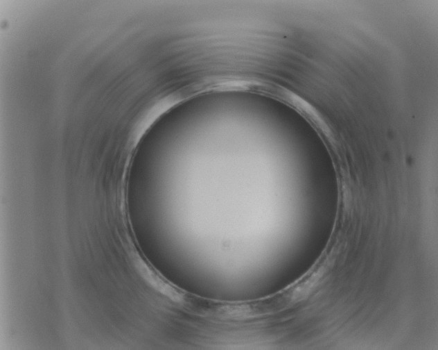 X0000074321194200609081959