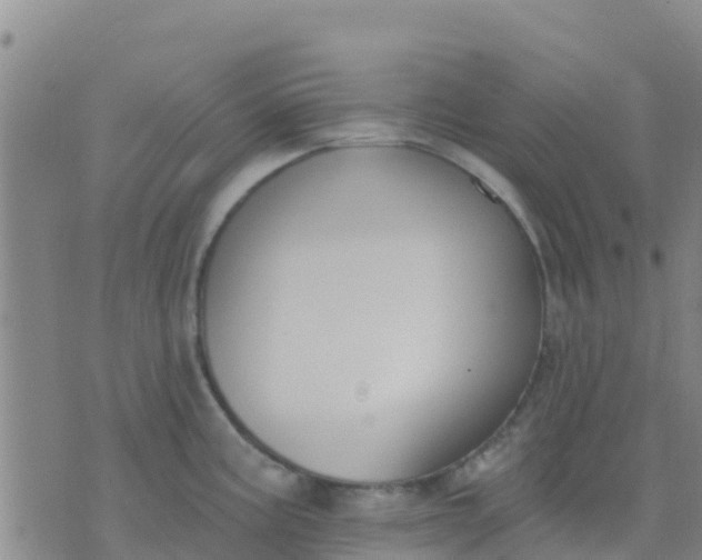 X0000074321195200609081959