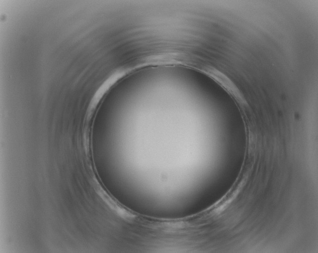 X0000074321196200609081959