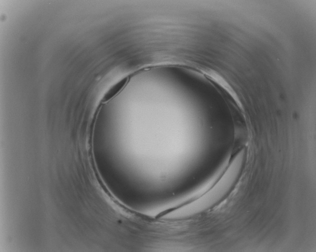 X0000074321197200609081959