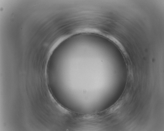 X0000074321199200609081959