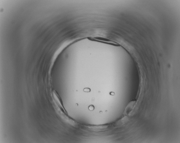 X0000074321200200609081959