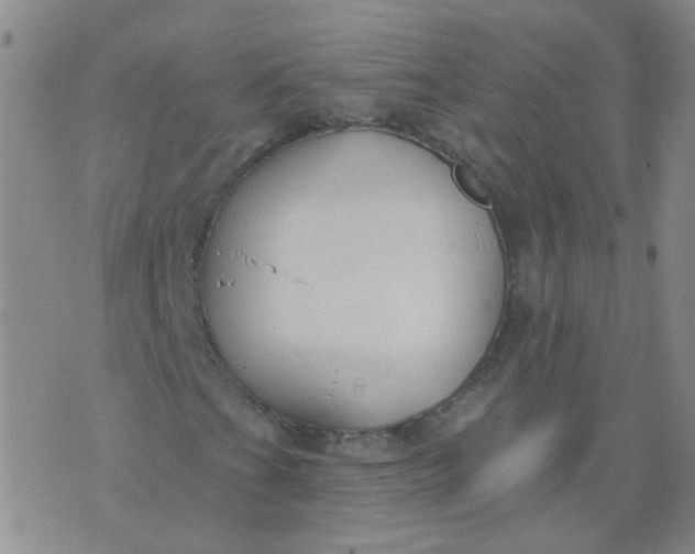 X0000074321201200609081958