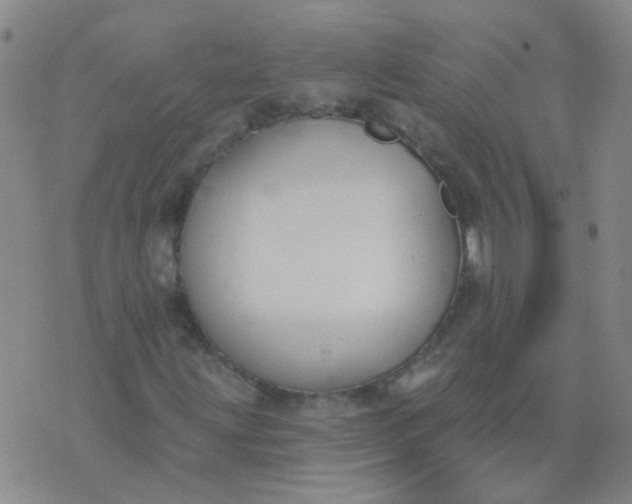 X0000074321203200609081958