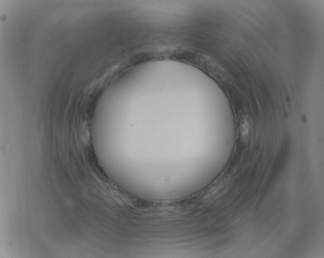 X0000074321204200609081958