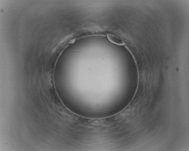 X0000074321205200609081958