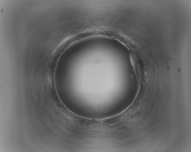 X0000074321206200609081958