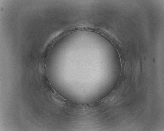 X0000074321207200609081958