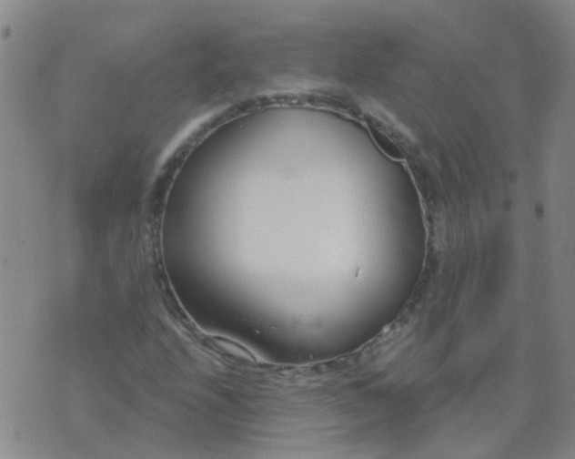 X0000074321208200609081958