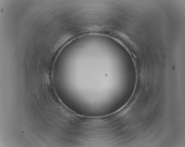 X0000074321209200609081958