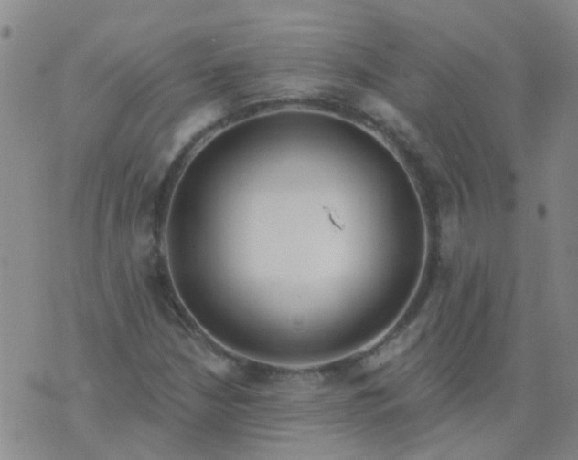 X0000074321210200609081958