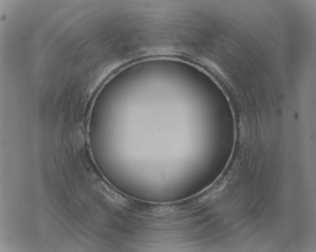 X0000074321212200609081958