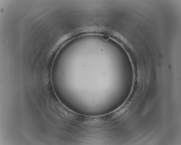 X0000074321213200609081958