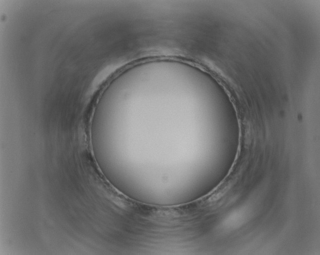 X0000074321215200609081958