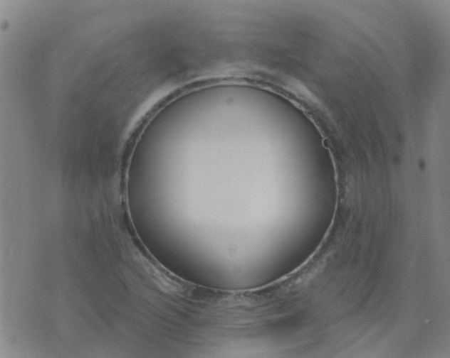 X0000074321216200609081958